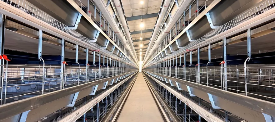 Lorong kandang ayam petelur tipe H tertutup sebelum diisi ayam
