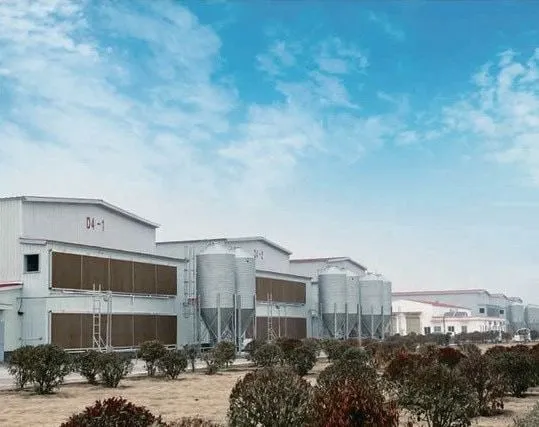 Foto Sistem Pemberian Pakan (Silo) (3)