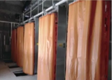 Foto Model Layer H Ayam Broiler (5)