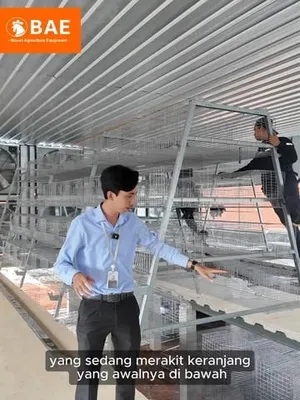 Perakitan kandang tipe A untuk 36.000 ekor anak ayam petelur