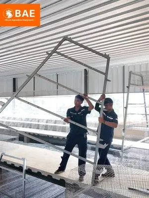 Minggu kedua pembangunan: pemasangan rangka dan sangkar dimulai
