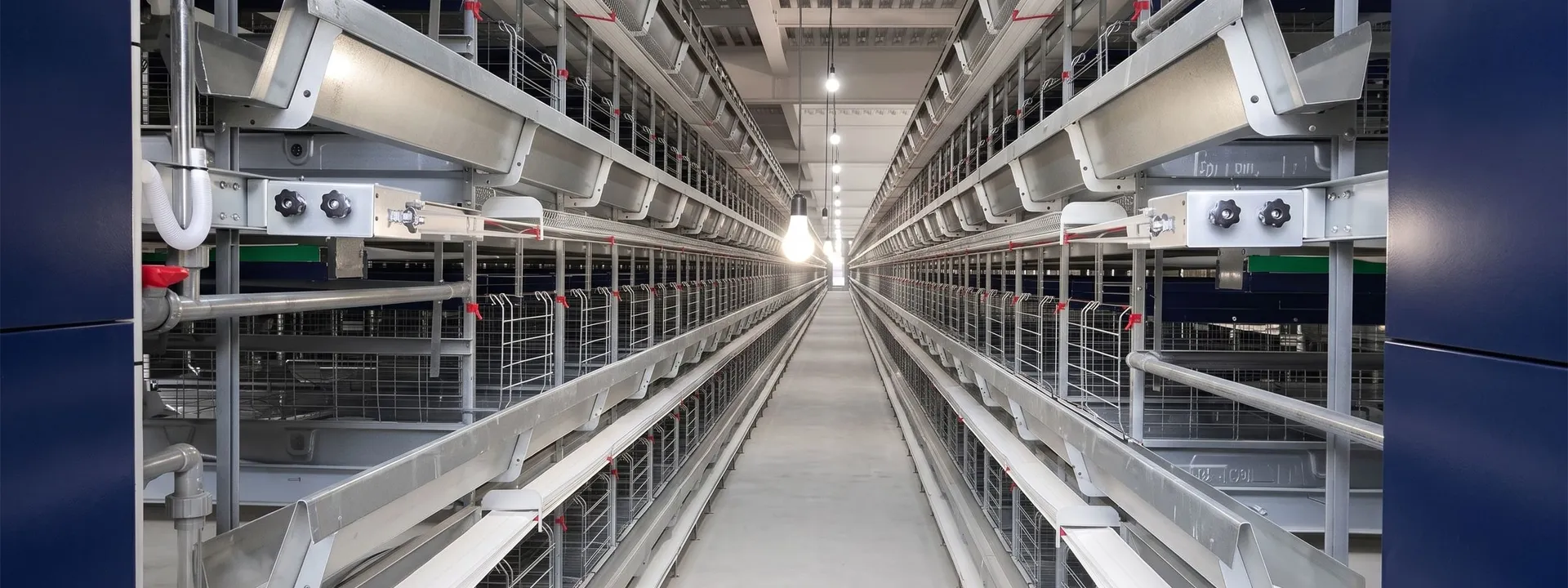 Lorong kandang ayam tipe H tertutup dengan rangka bertingkat dan tempat pakan otomatis