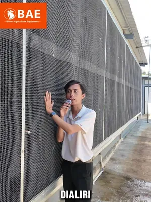 Cooling pad mendinginkan udara panas yang masuk ke kandang tertutup