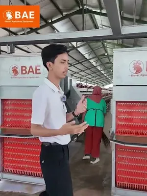 Satu jari, satu tombol: kandang modern menghasilkan 500 kg per hari